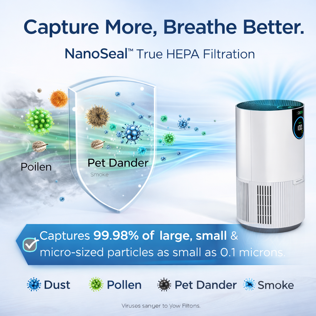 Air Purifier with True HEPA