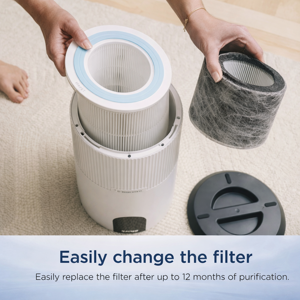 Air Purifier with True HEPA